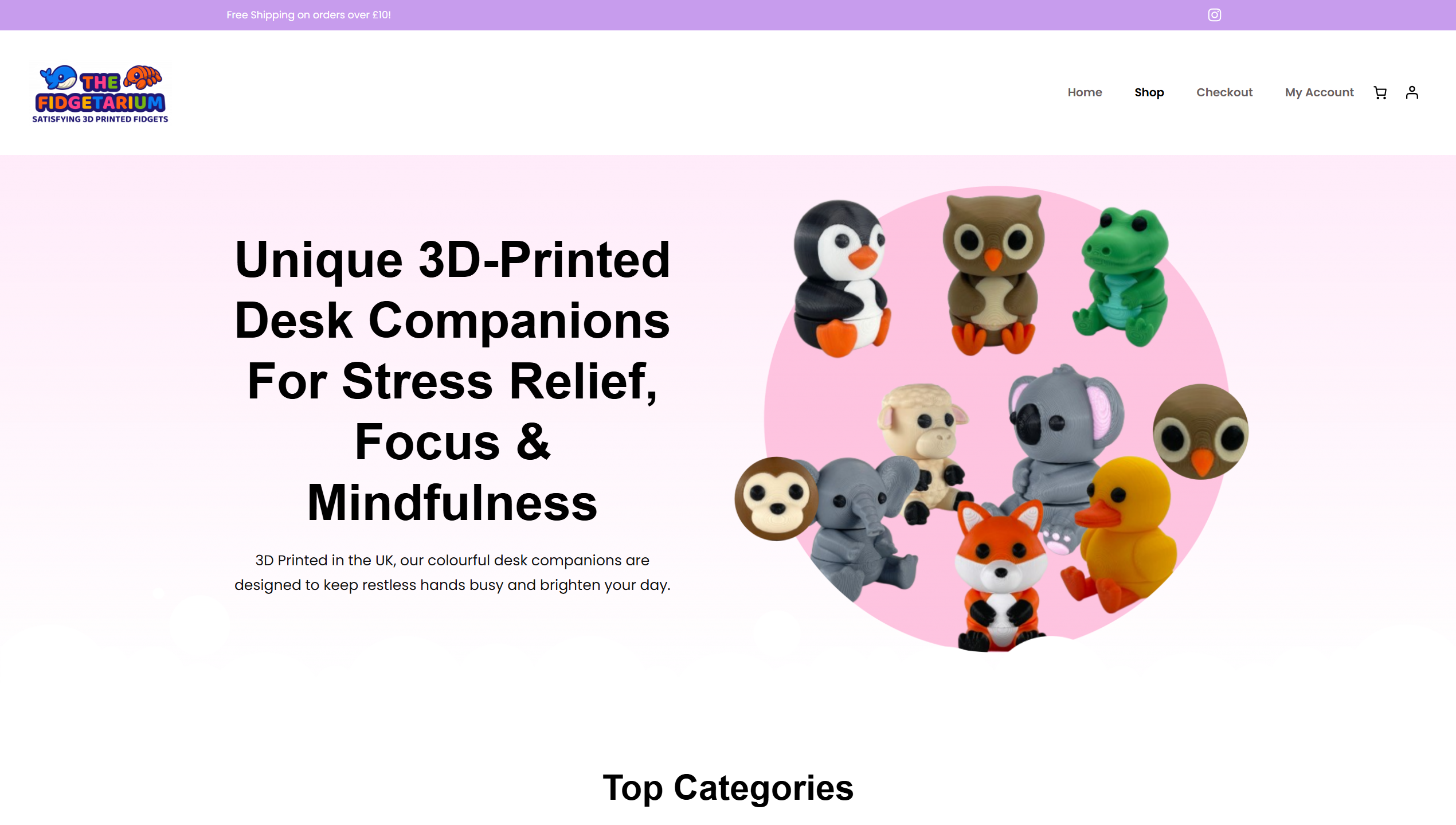The Fidgetarium Preview Image
